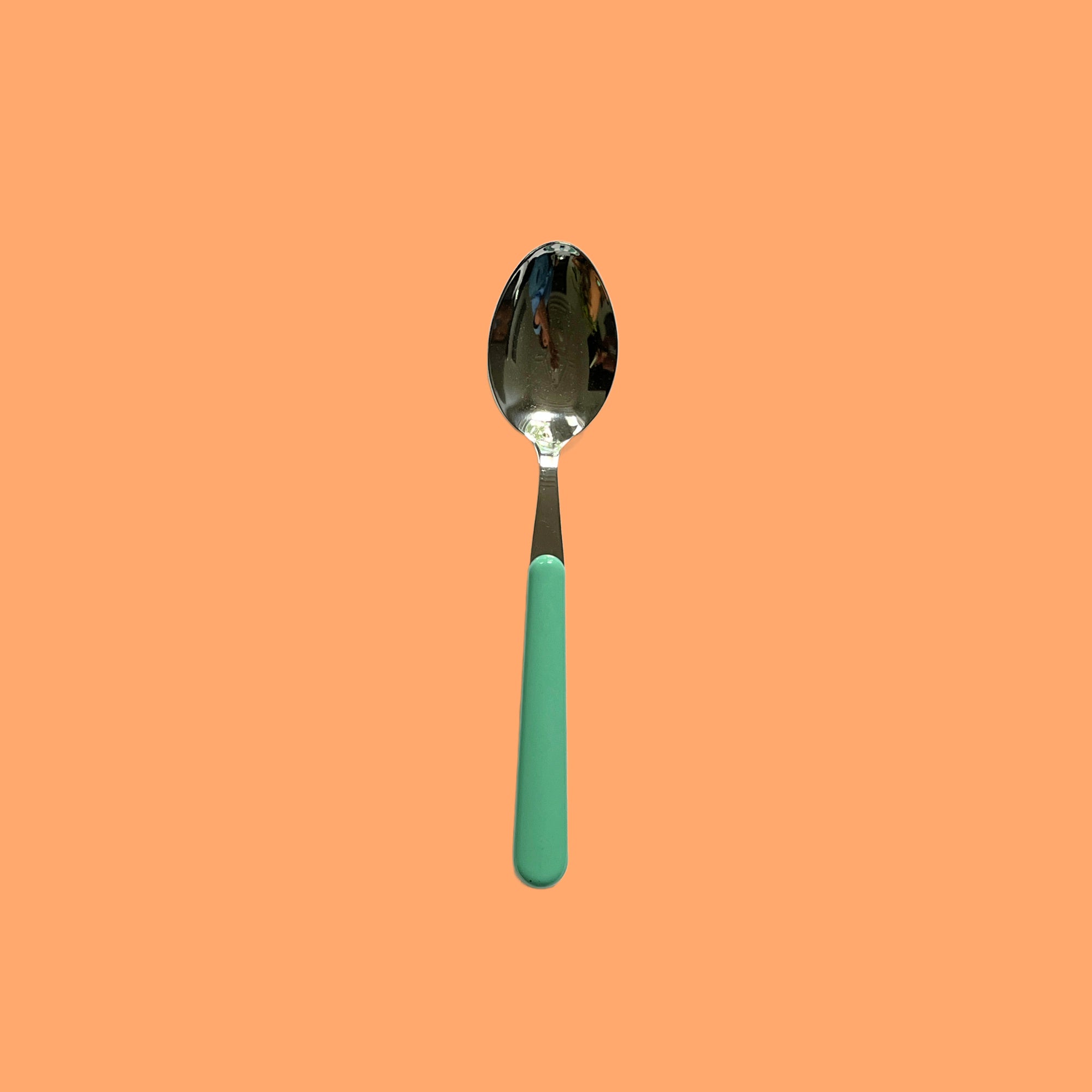 Brio mint green dinner spoon | 19.5 cm | Color on the table (copy)