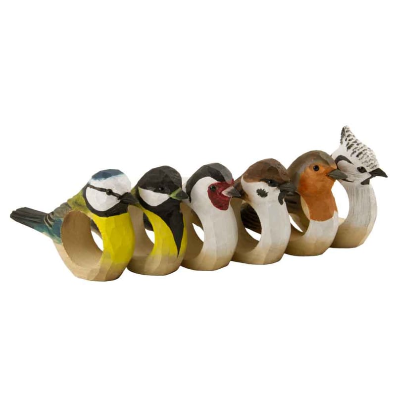 Wildlife Garden Servetring Roodborst