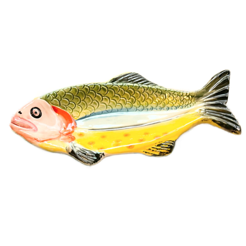 Langwerpig schaaltje of lepellegger Vis roze en geel | 11 x 25,5 cm