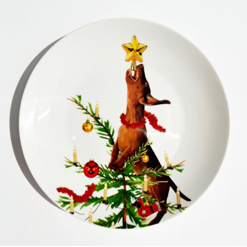 Bordy's It's a Wienerful Time ontbijtbordjes , set van 6 kerstige teckels Ø 20 cm