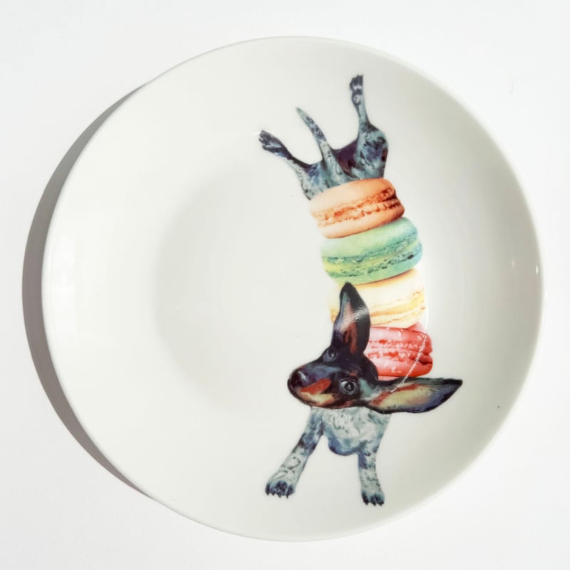 Bordy's Sweet Wieners taartbordjes, set van 6 zoete teckels Ø 18 cm